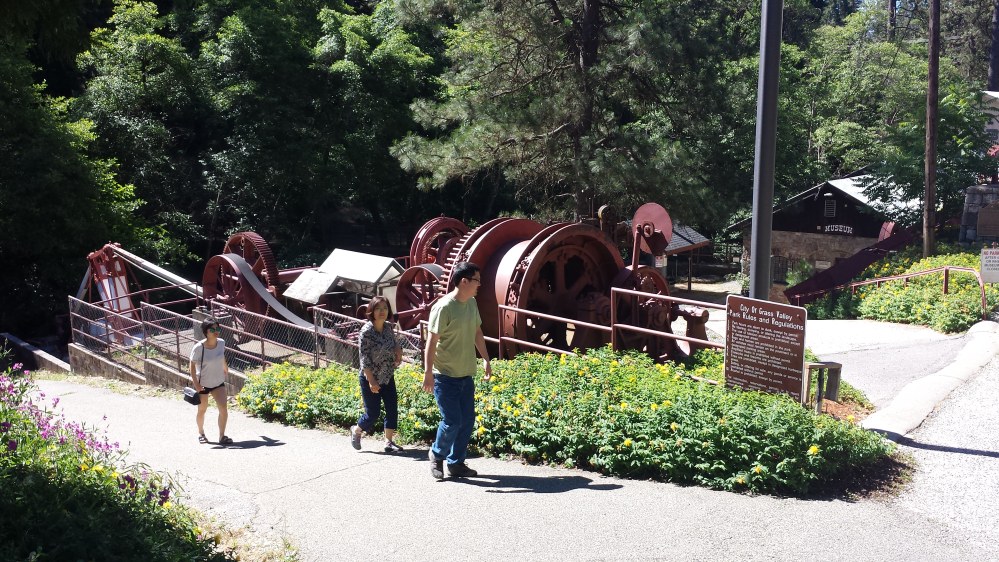 20170617_100419.jpg